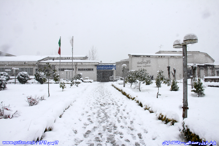 تصویر کوچک