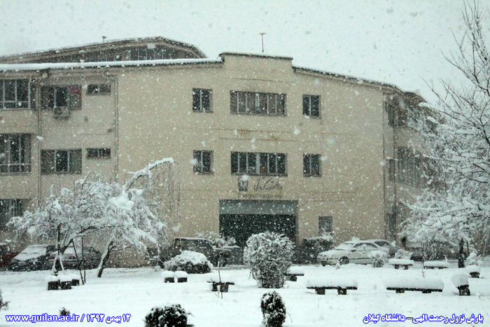تصویر کوچک