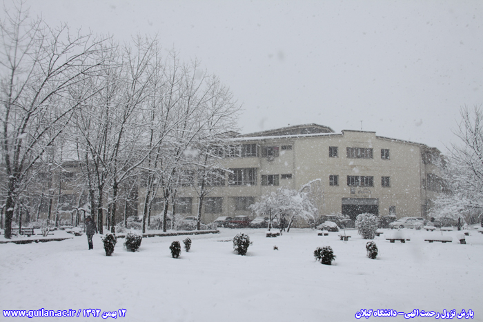 تصویر کوچک