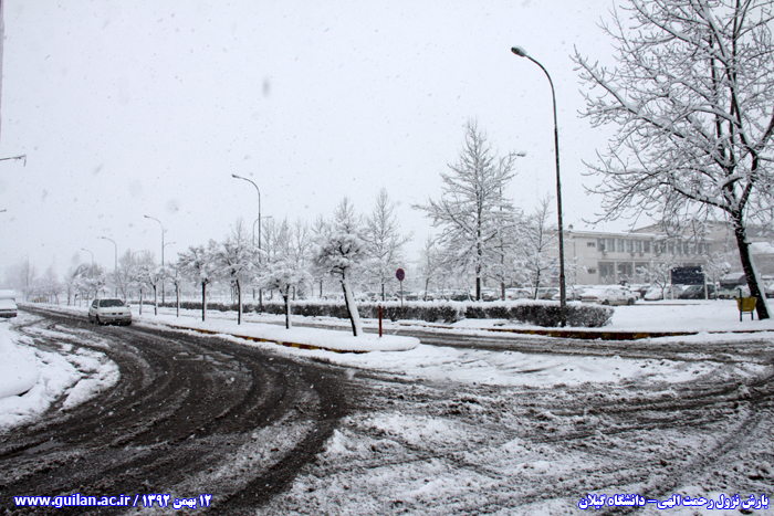 تصویر کوچک